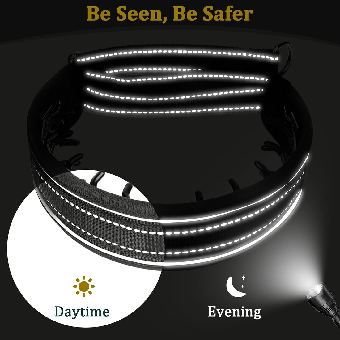 Mayerzon Prong Collar for Large Medium Dogs