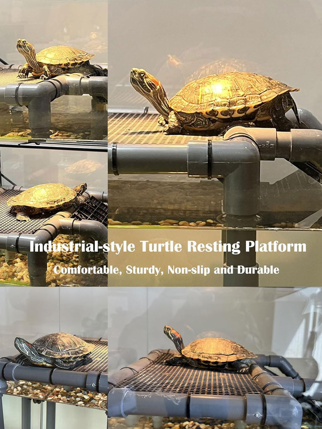 Large Turtle Basking Platform for Aquatic Turtles
