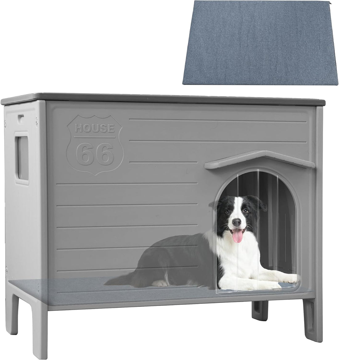 Heated Dog House Outdoor for Medium and Small Dog