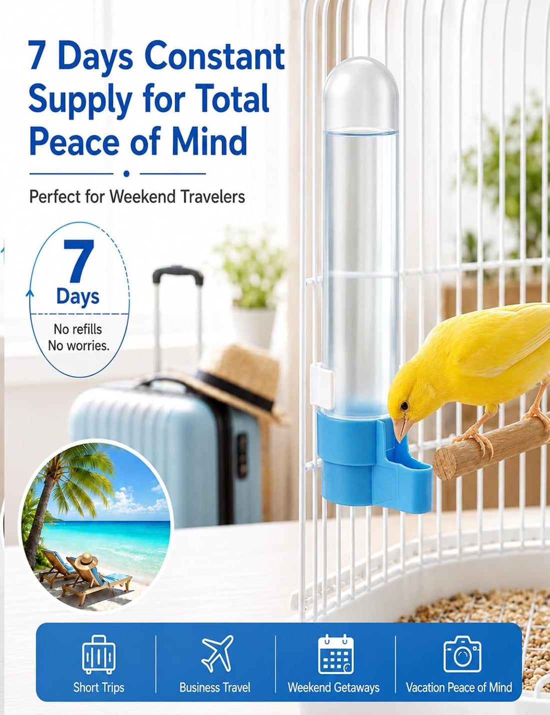 4 Pack Canary Water Dispenser with 2 Cleaning Brushes Set for Bird