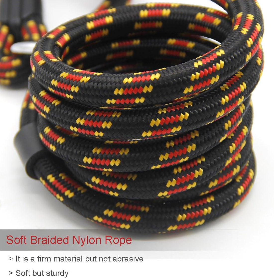Coolrunner Durable Dog Slip Rope, 5 FT Training Leash