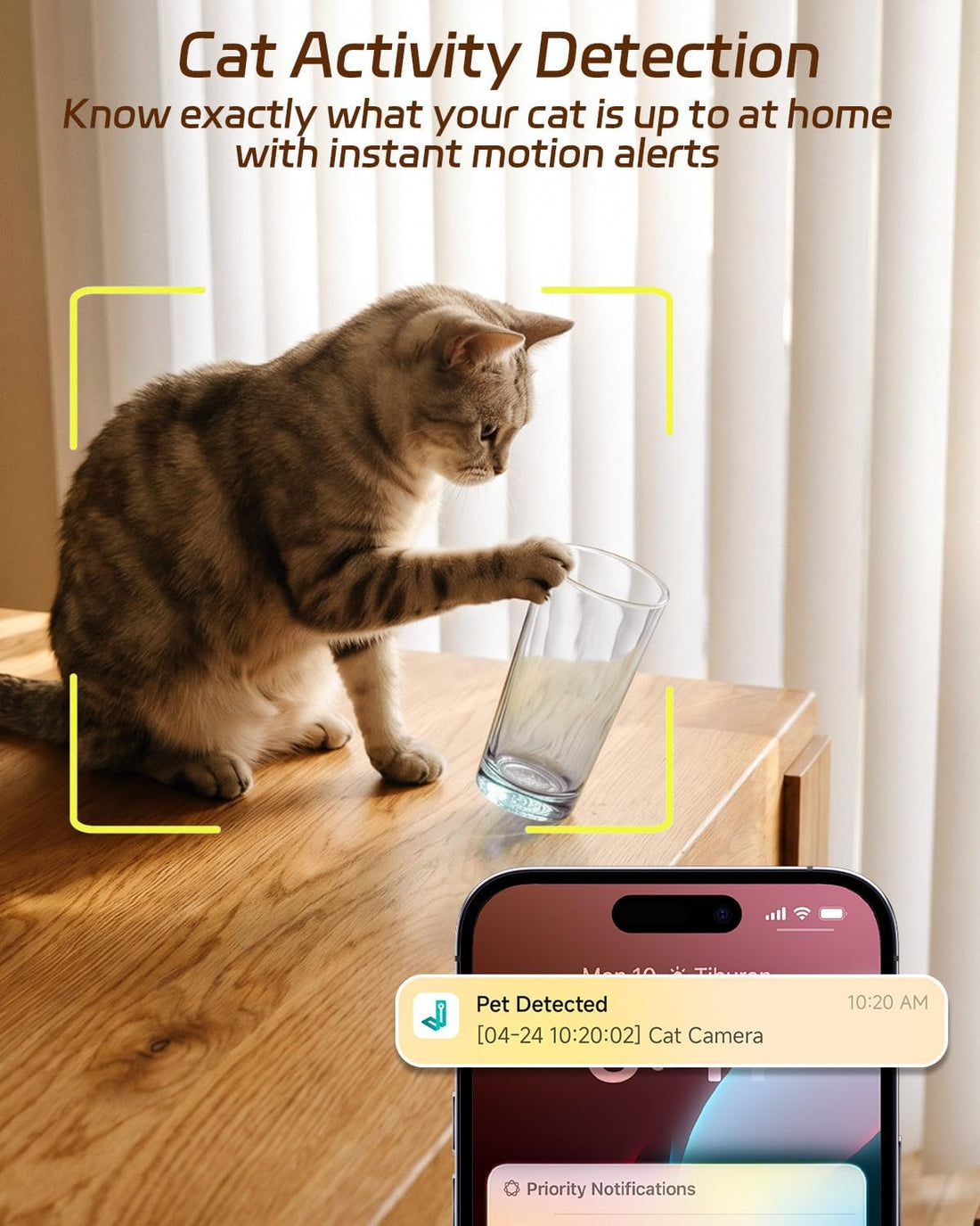 ALIOBC Pet Camera with Phone App Laser Toy 2K Cat Camera no