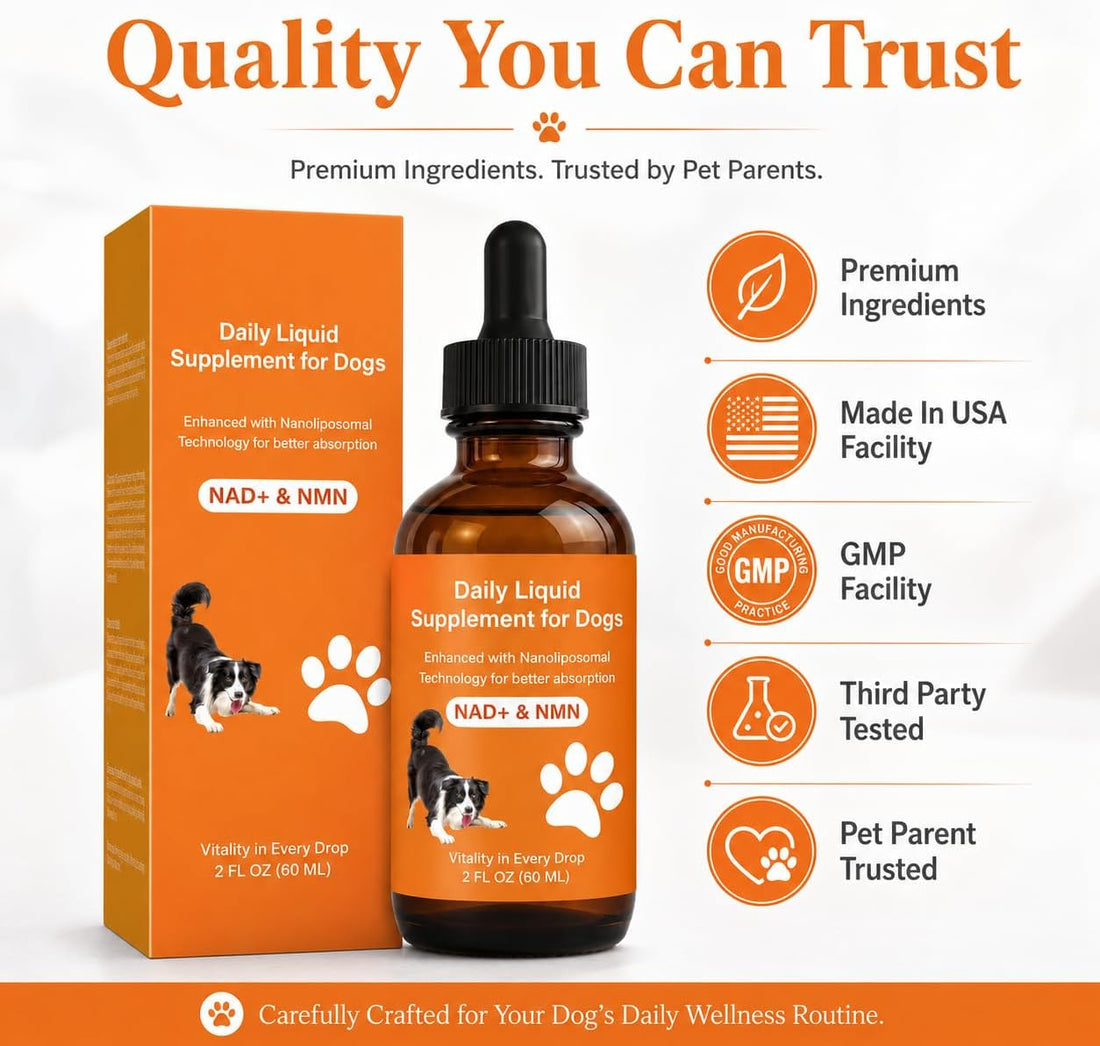 Dog Longevity Support Supplement with NMN, NAD+, CoQ10 & Resveratrol