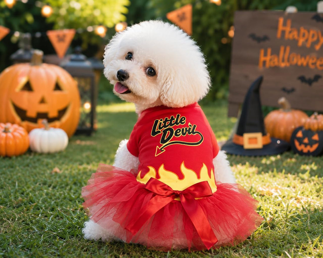 Petitebella Halloween Theme Puppy Dog Dress