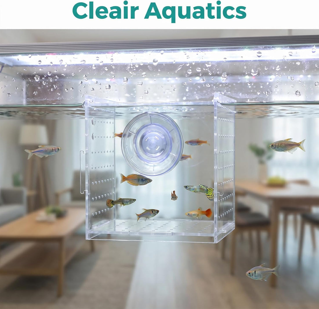 Acrylic Fish breeding Box, Fish Acclimation Isolation Box