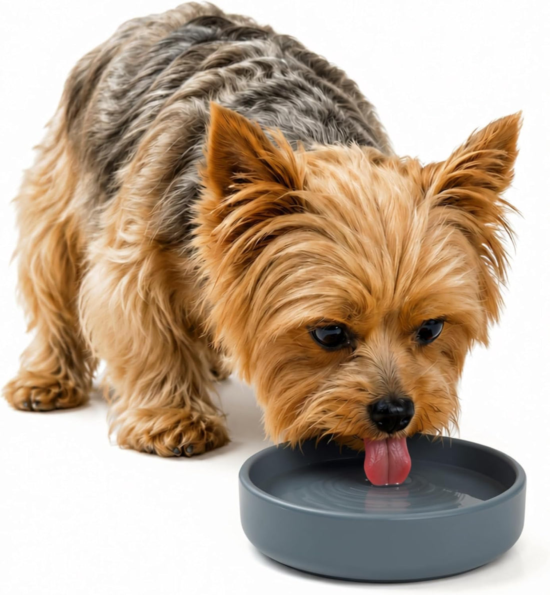 The Perfect Dish - Silicone Dog Bowl for Food & Water, 6" x 1.25"