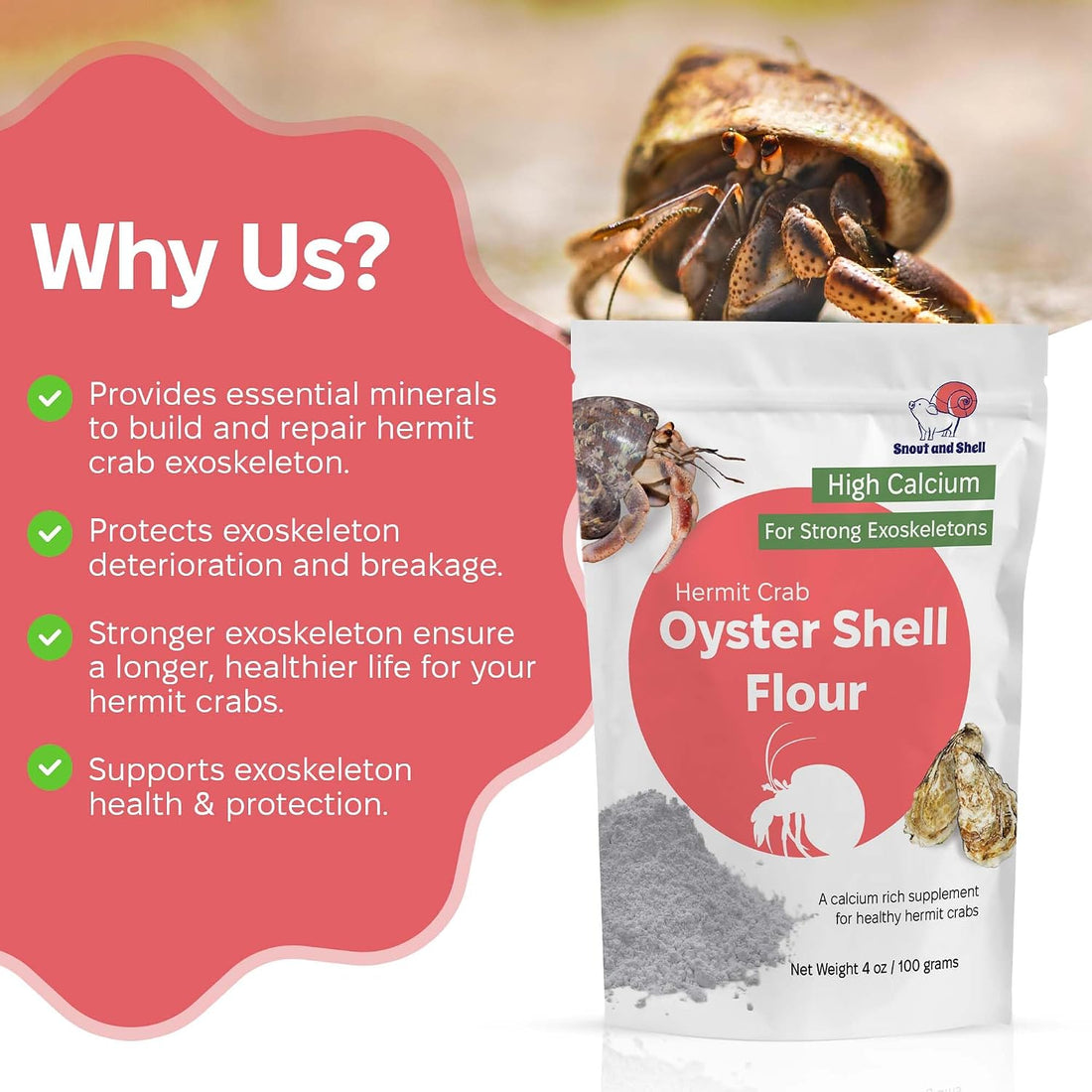 Oyster Shell Supplement for Hermit Crabs