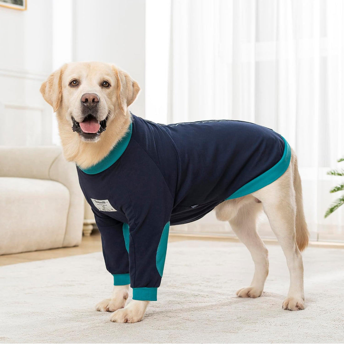 Dog Shirts Elbow Protector Front Legs
