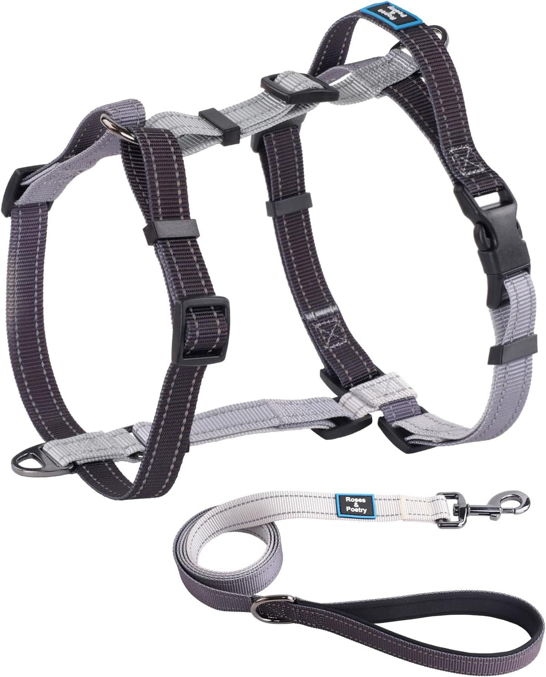 Roses&Poetry Small Dog Harness and Leash Set