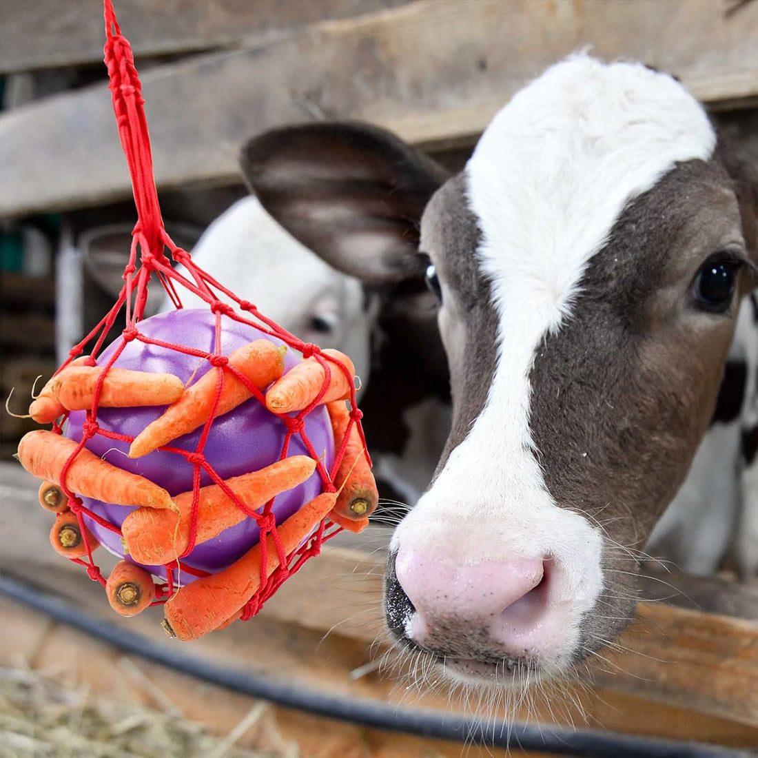 Tirifer Carrot Feeder Ball Toy for Horse, Goat, Sheep - Stress Relief