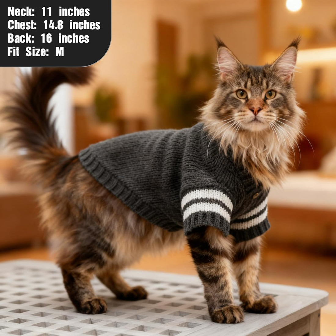 EXPAWLORER Knit Cat Sweater - Soft Warm Cat Clothes Cardigan, Grey S