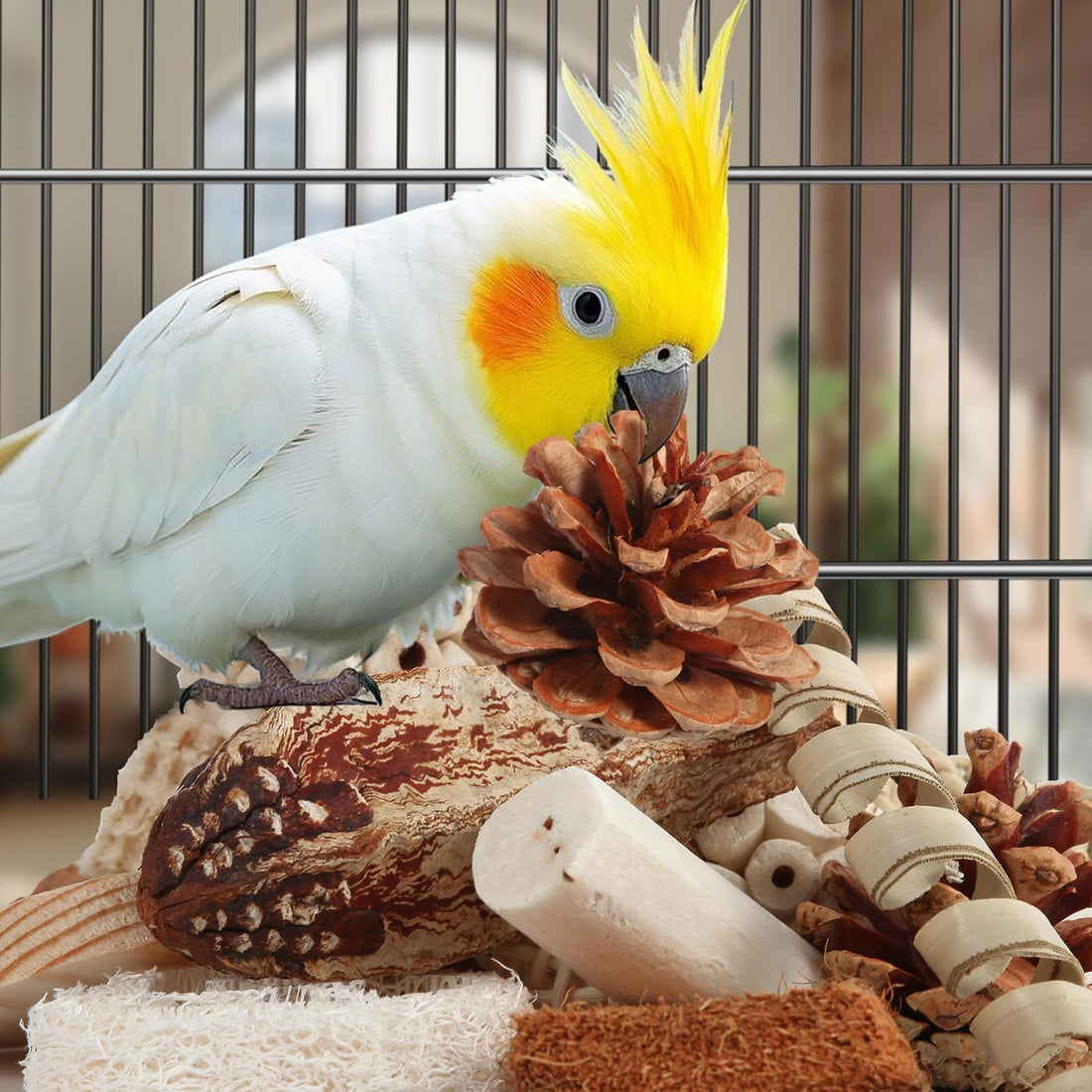Kyouki Bird Toys Parrot Toys Natural Bird Foraging Box Foot