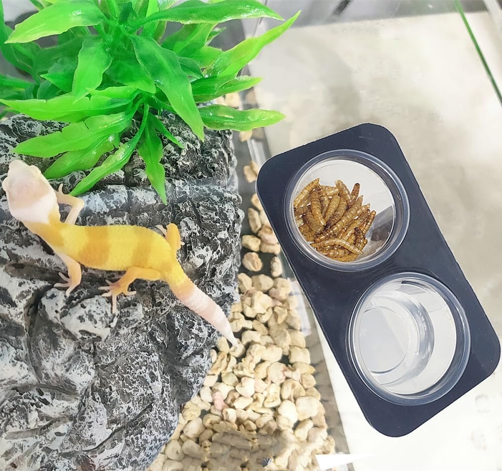 Lizard Gecko Feeding Ledge Holder, with 30 pcs 0.5oz Food Cups Dish