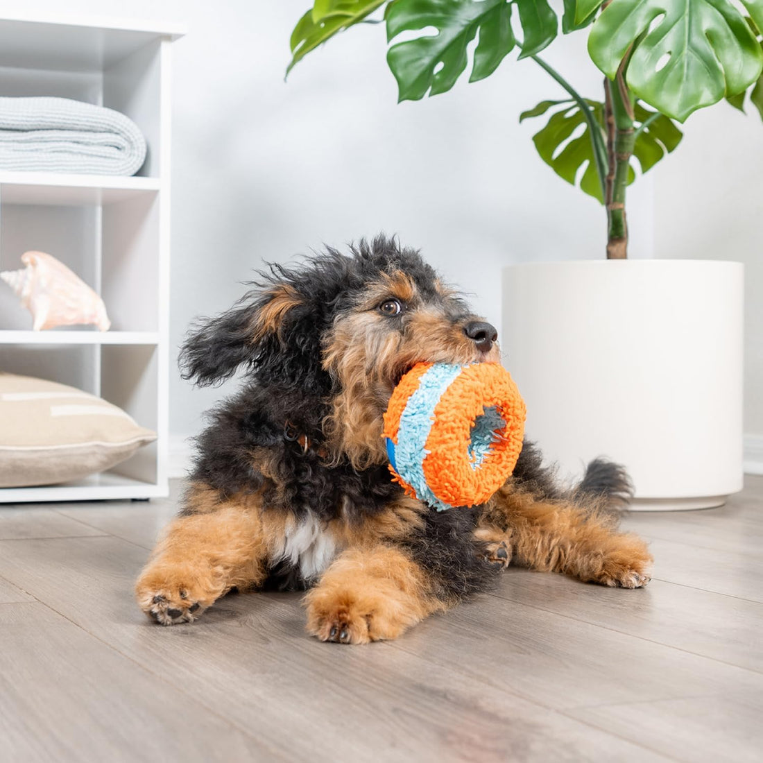 Chuckit! Indoor Fetch Roller Toy for Dogs