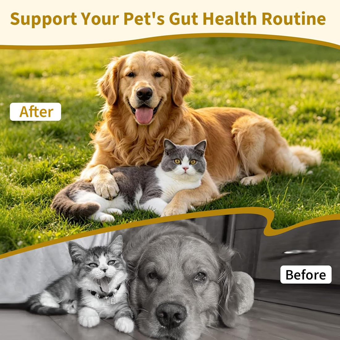 Dewormer for Cats & Dogs, Tapeworm Dewormer for Cats & Dogs