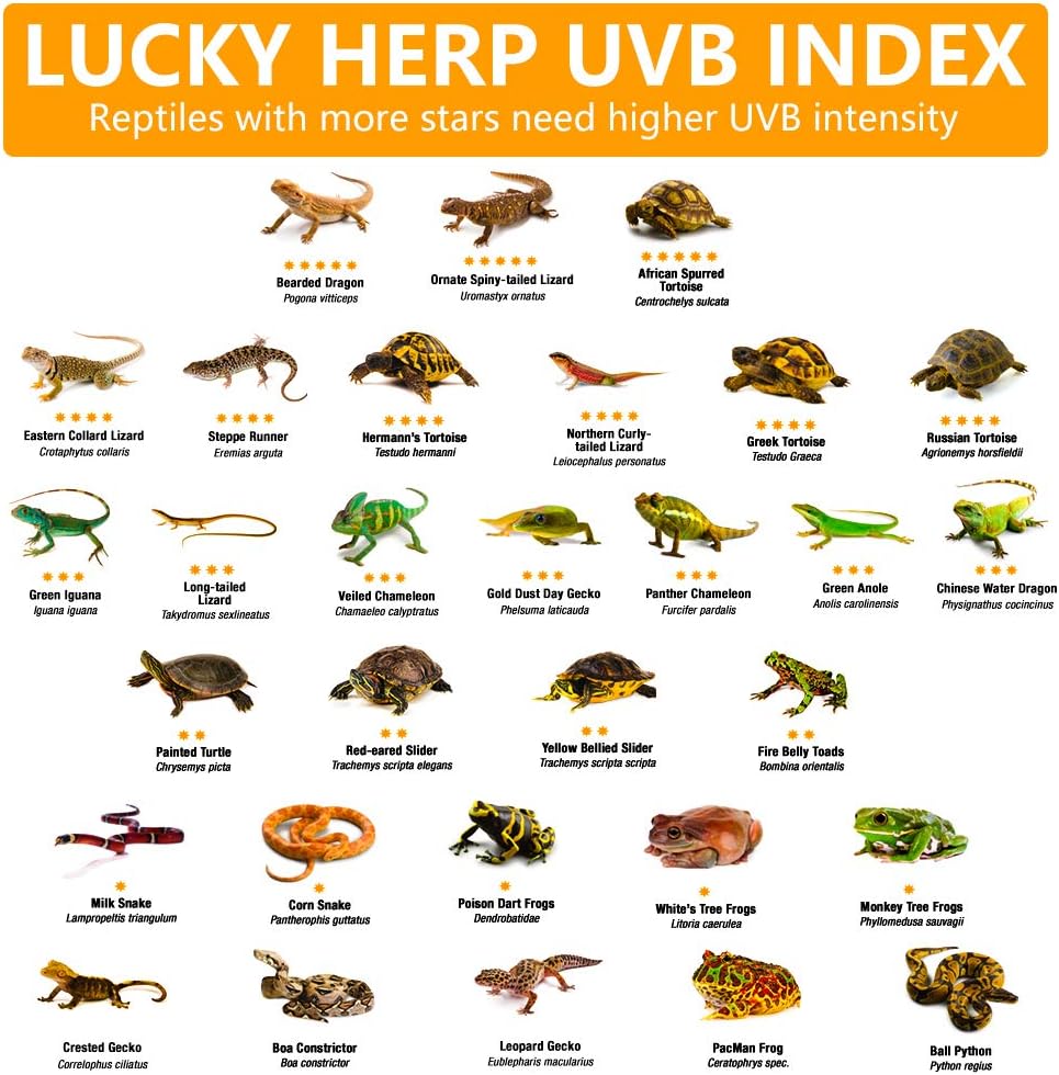 LUCKY HERP 100 Watt UVA+UVB Full Spectrum Vapor Heat Lamp Bulb