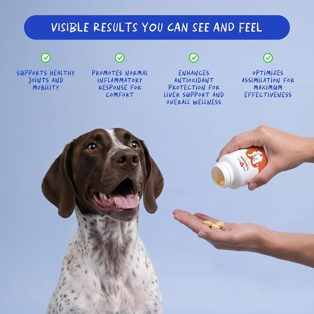 Turmeric for Dogs Anti Inflammatory Pain Relief - 120 Chewable Tablets