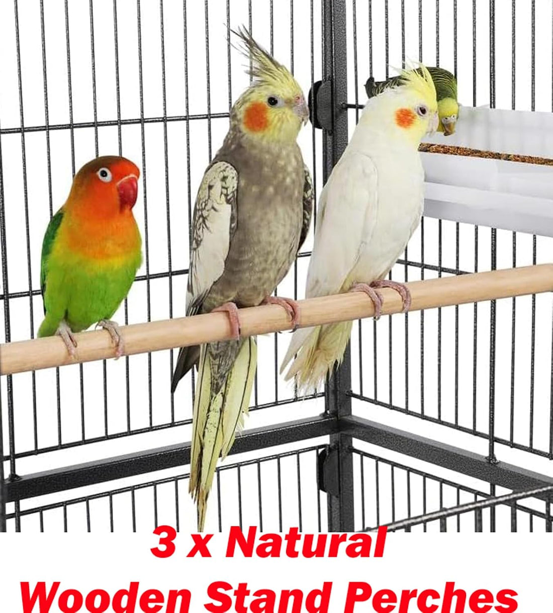 X-Large Sturdy Wrought Iron Breeding Flights Canary Parakeet