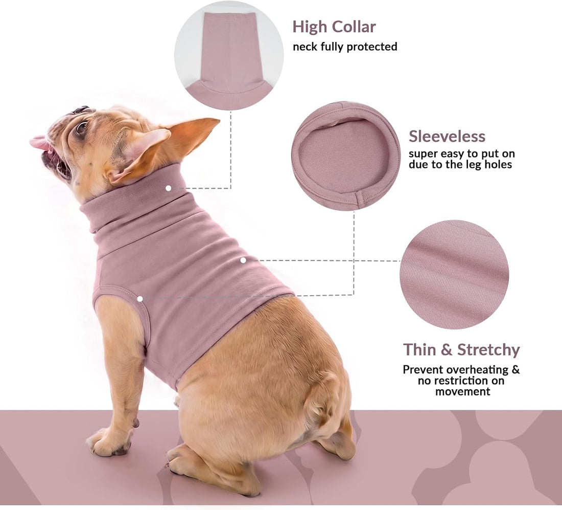 ROZKITCH Cat Neck Protector, Cat Surgery Recovery Suit