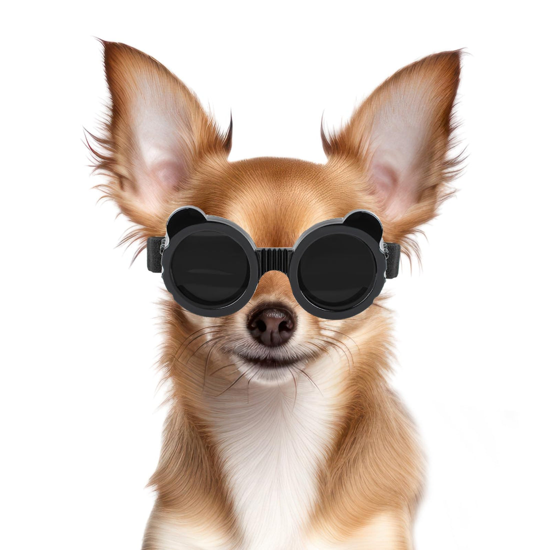 Billionchains Dog Goggles for Small Breed UV/Wind/Dust Protection