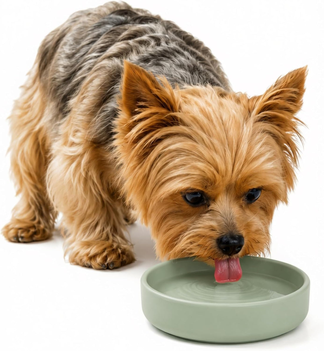 The Perfect Dish - Silicone Dog Bowl for Food & Water, 6" x 1.25"