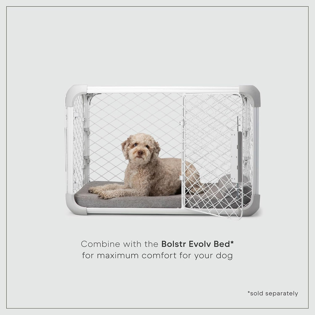 Diggs Evolv Modular Dog Crate for Dogs 18-22" Tall, Ash, Intermediate