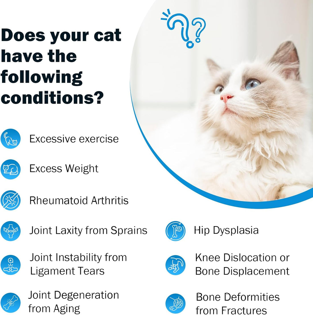 Joint Supplement for Cats - Glucosamine & Chondroitin Drops