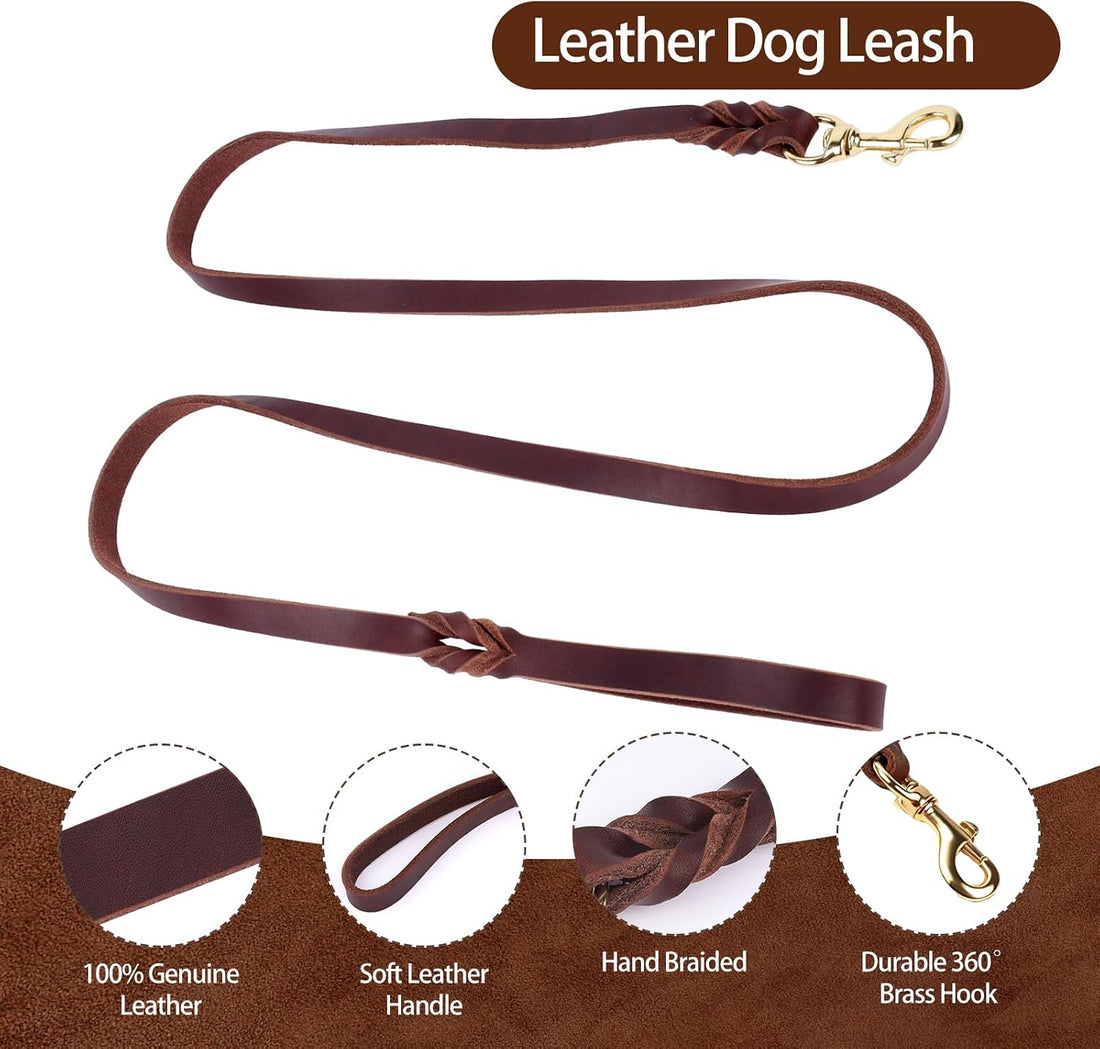 Leather Dog Collar and Leash Set