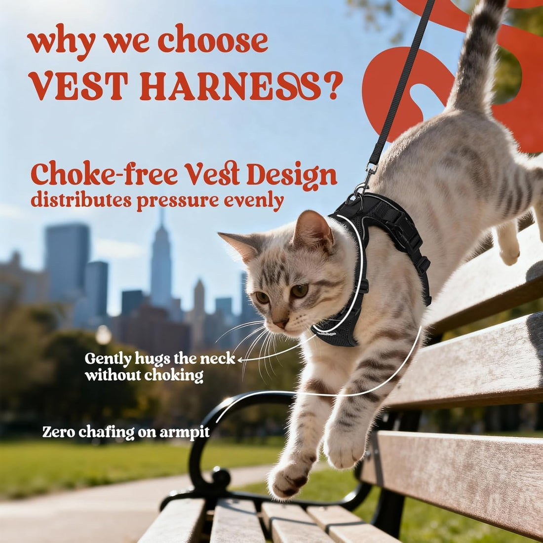 rabbitgoo Cat Harness and Leash Set, Escape Proof Vest