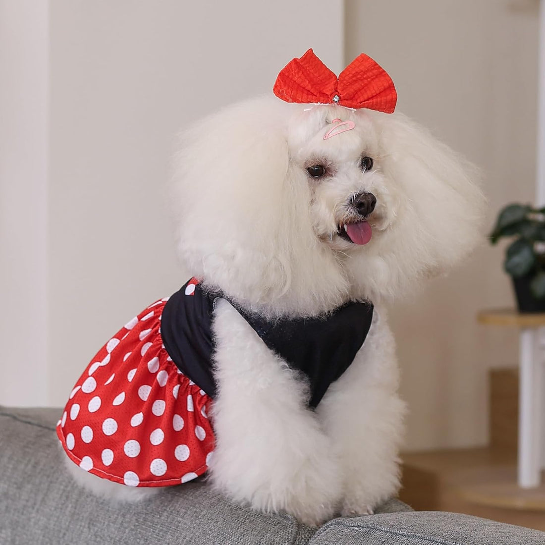 CuteBone Dog Mesh Dress Puppy Sundress Pet Outfit Summer Fashion