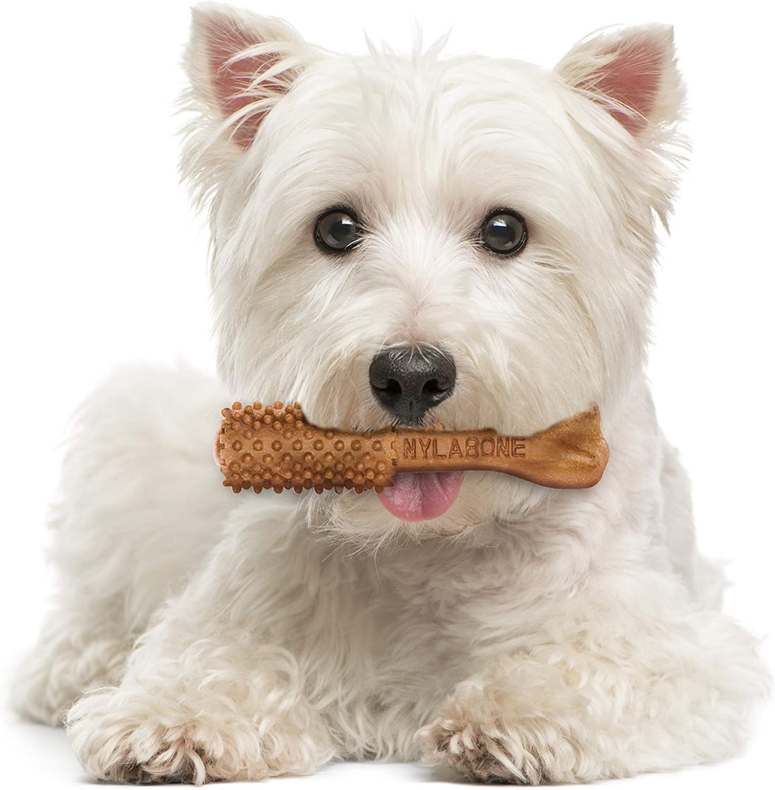 Nylabone Nutri Dent Dog Dental Chews