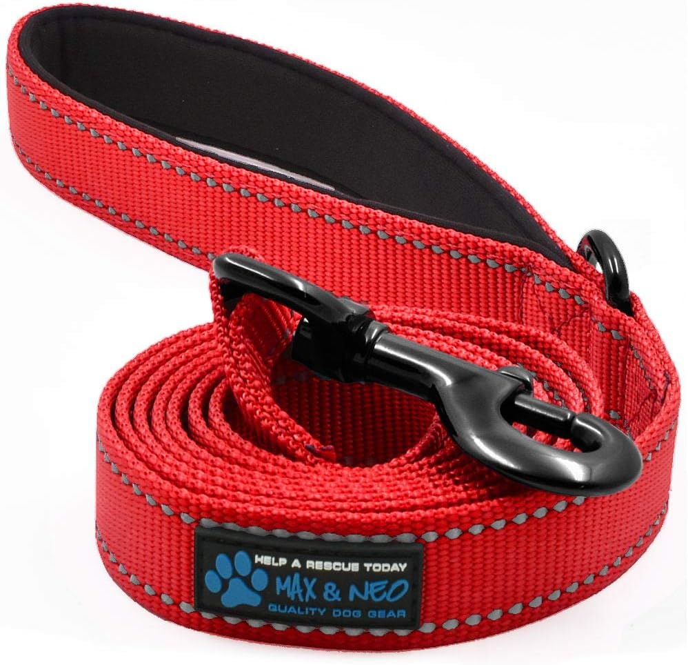 Max and Neo Reflective Nylon Dog Leash - We Donate One for Every Sold