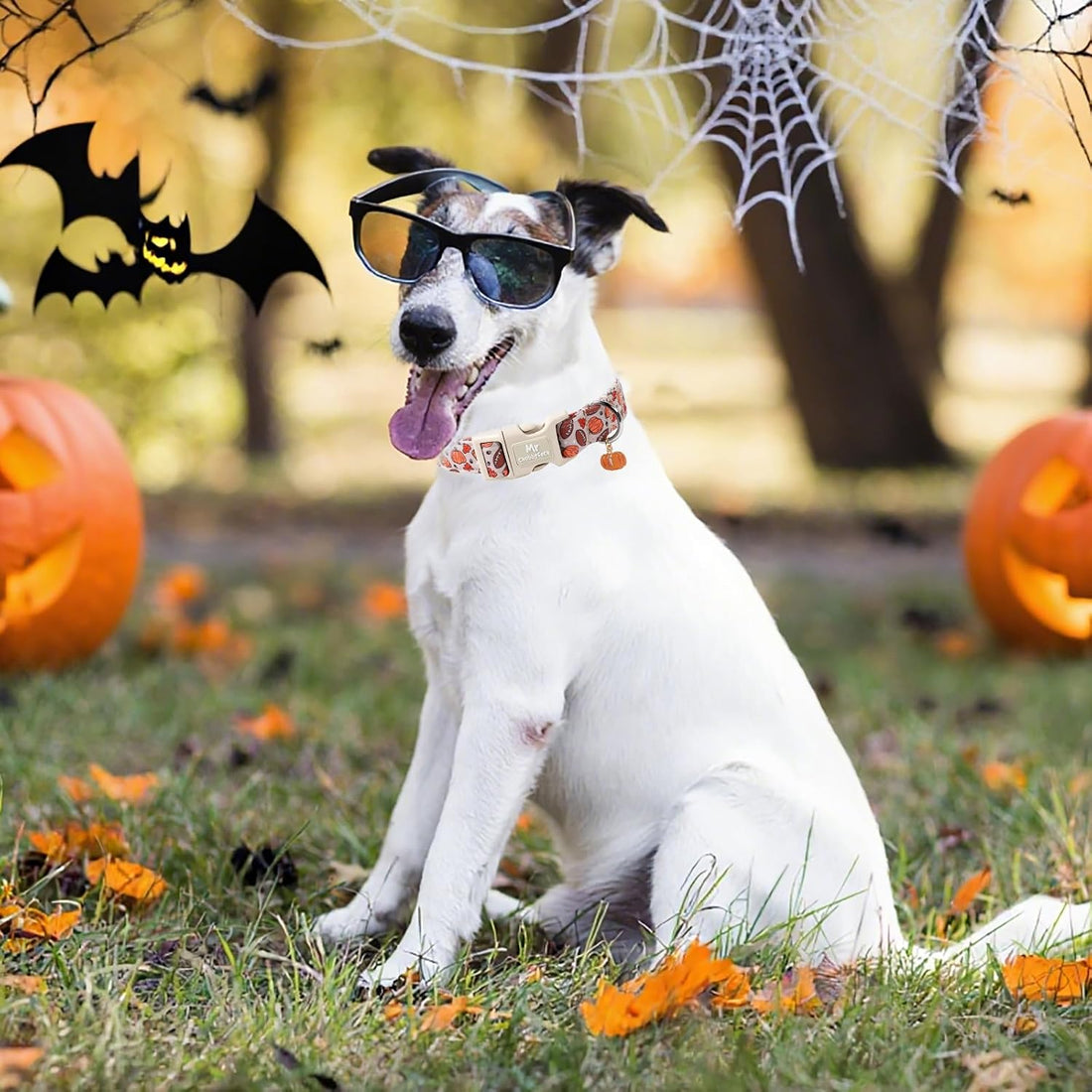 ·MR. CHUBBYFACE· Halloween Pink Pumpkin Dog Collar for Large Dogs