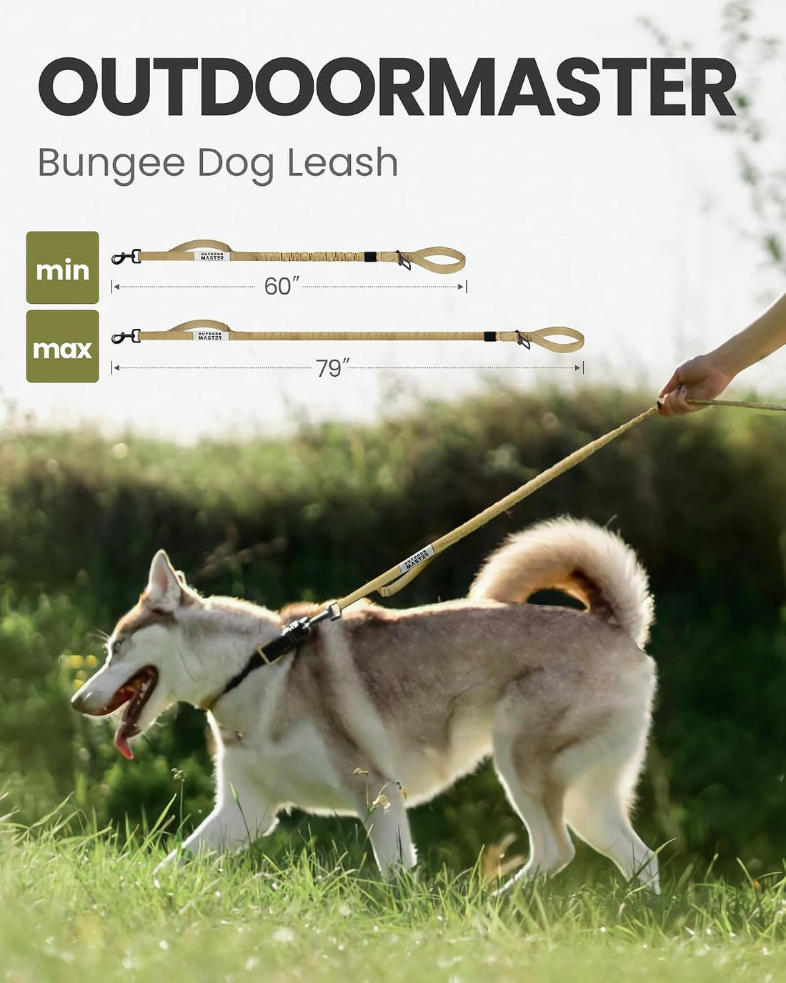 OutdoorMaster Bungee Dog Leash with Shock Absorption, Seatbelt-Buckle