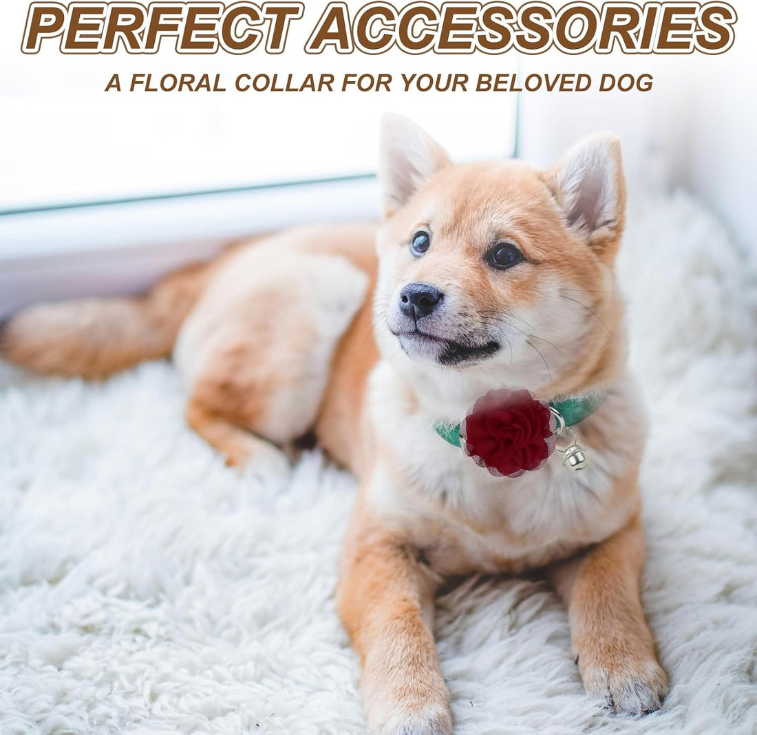 Dog Collar Flowers Pet Flower Charms