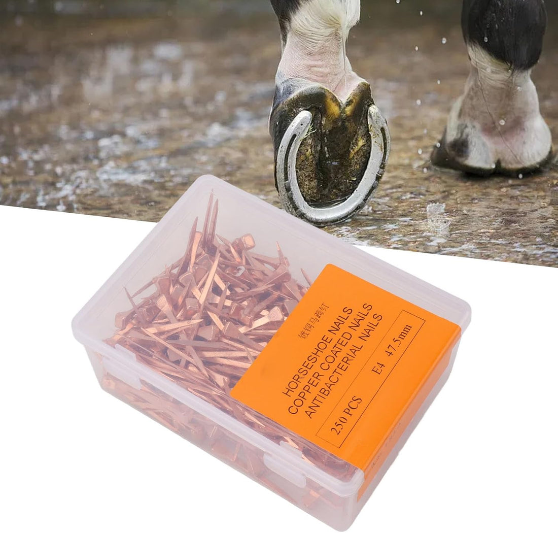 250Pcs Horseshoe Nails Copper Plated Rustproof Equestrian Riding