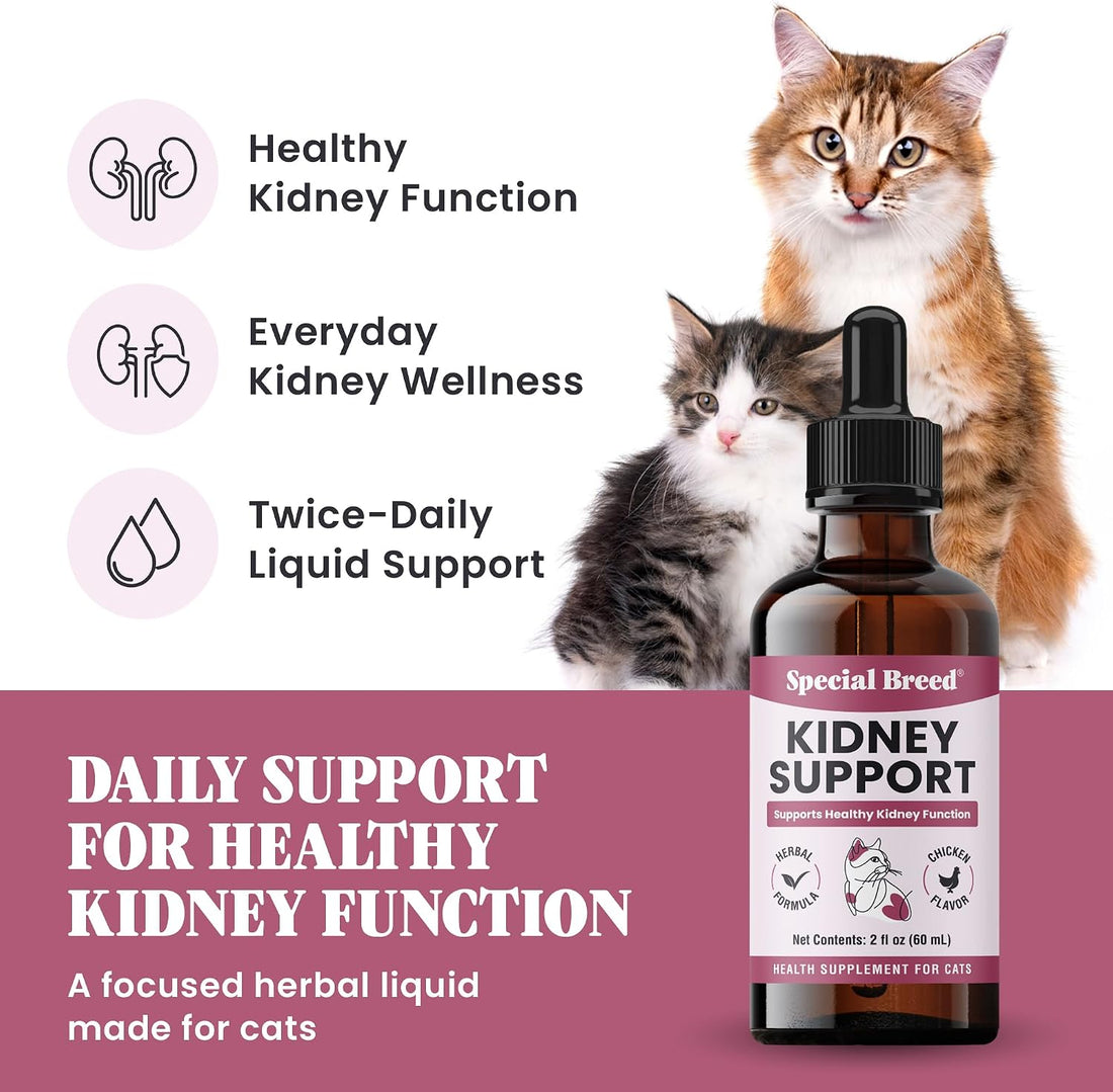 Special Breed Kidney Support for Cats - Rehmannia & Astragalus Liquid