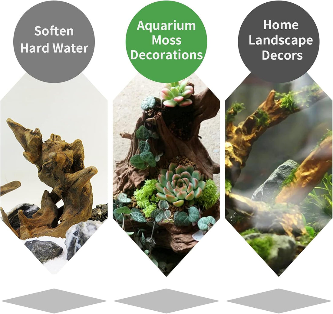 Hamiledyi 5 Pcs Driftwood Branches 5.5"-8.6" Aquarium Wood Decoration