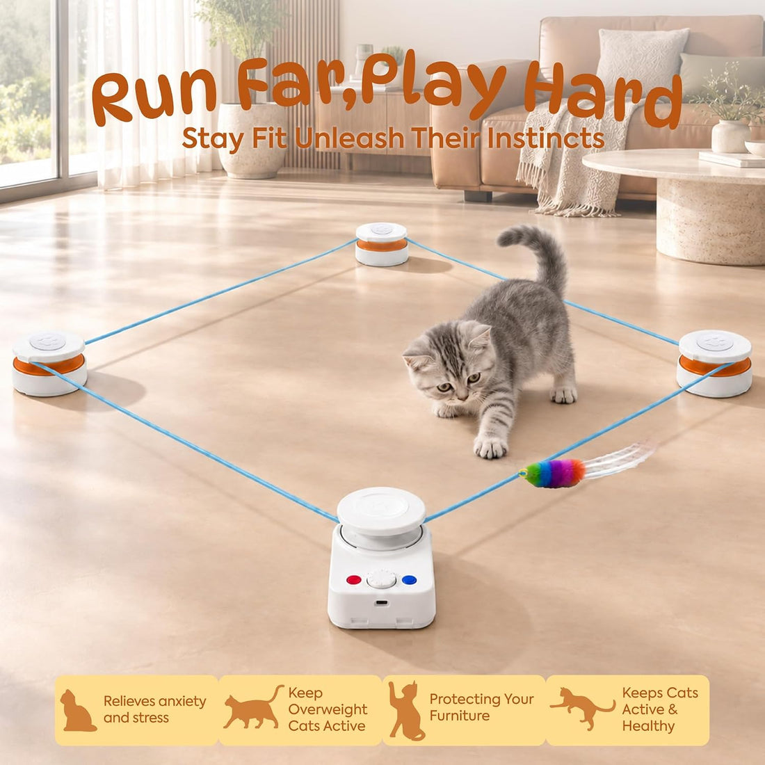 Interactive Cat Toy for Indoor Cat,Automatic Treadmill for Exercise