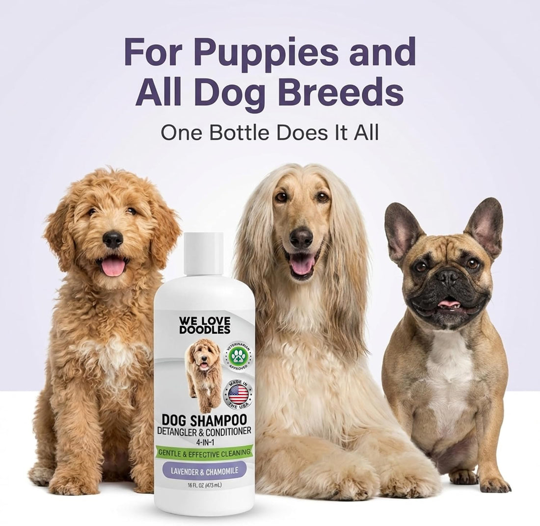 Dog Shampoo, Conditioner & Detangler - Best Shampoo for Goldendoodles