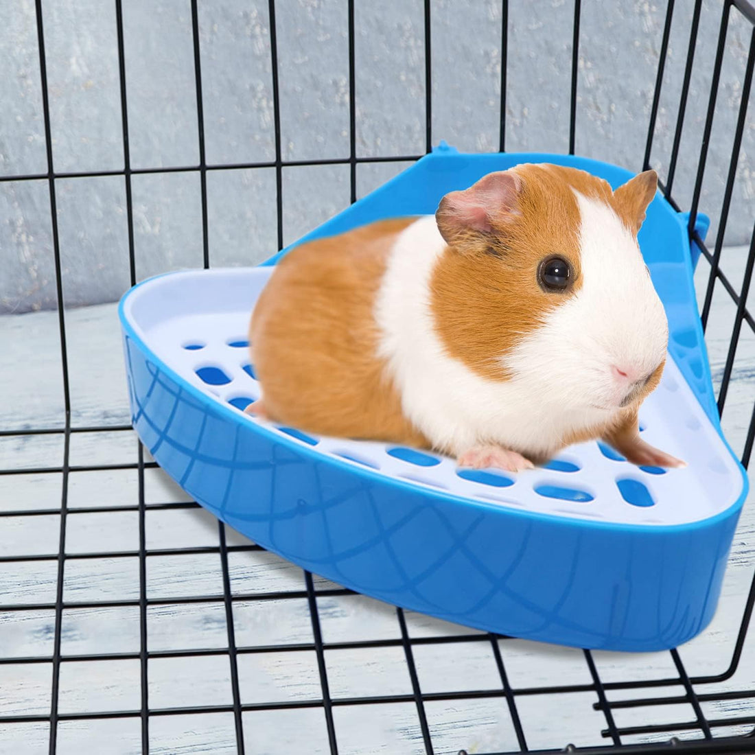 Litewoo Rabbit Litter Box Toilet Bunny Corner Potty for Guinea Pigs