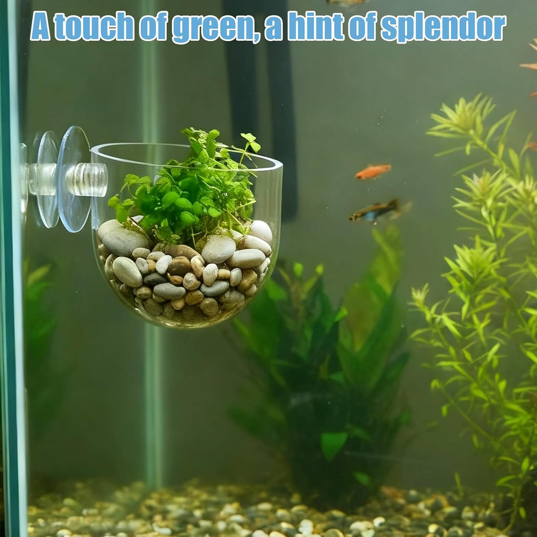 3 Pack Clear Fish Tank Plant Holder Aquatic Plant Cups