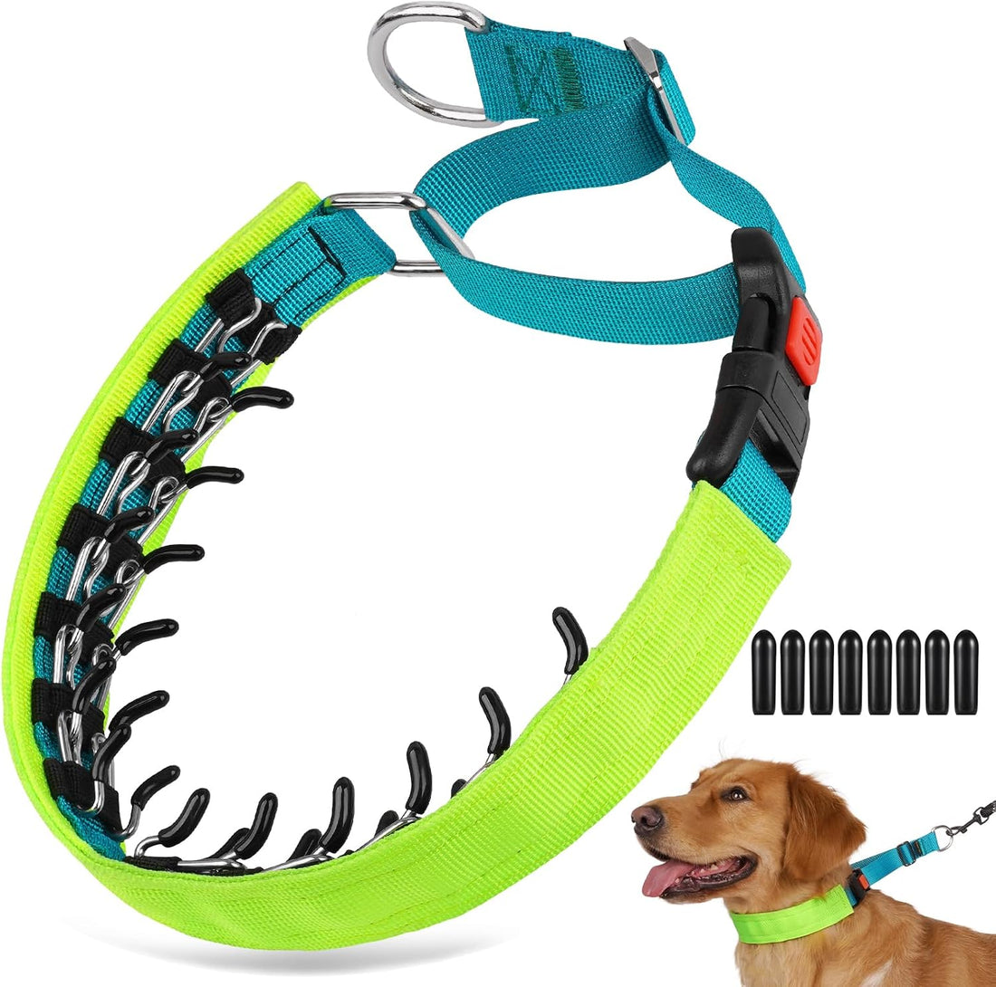 Crazy Felix No Pull Dog Collar, Hidden Martingale Training Collar