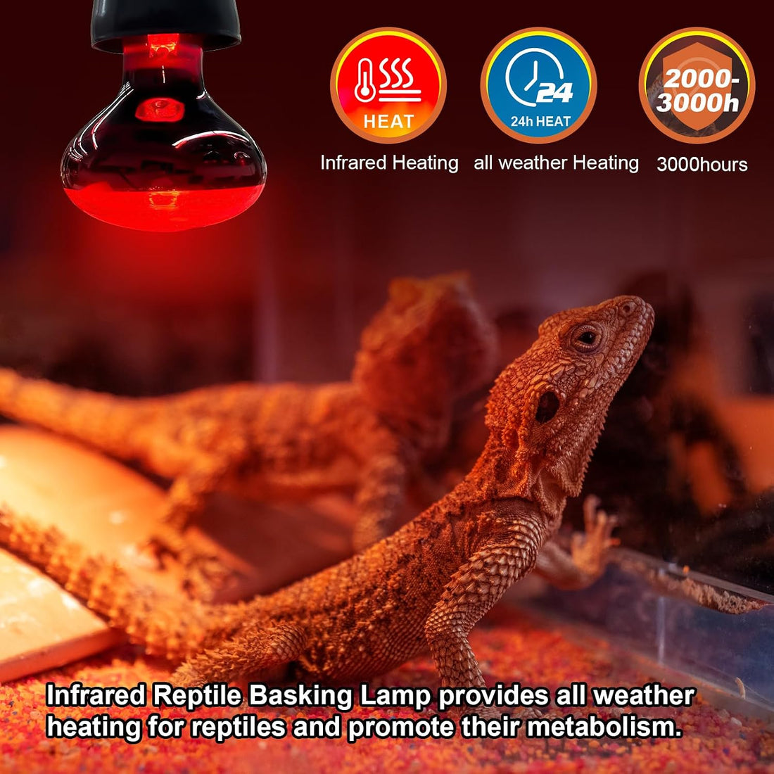 MIXJOY 100W Infrared Heat Lamp Bulbs