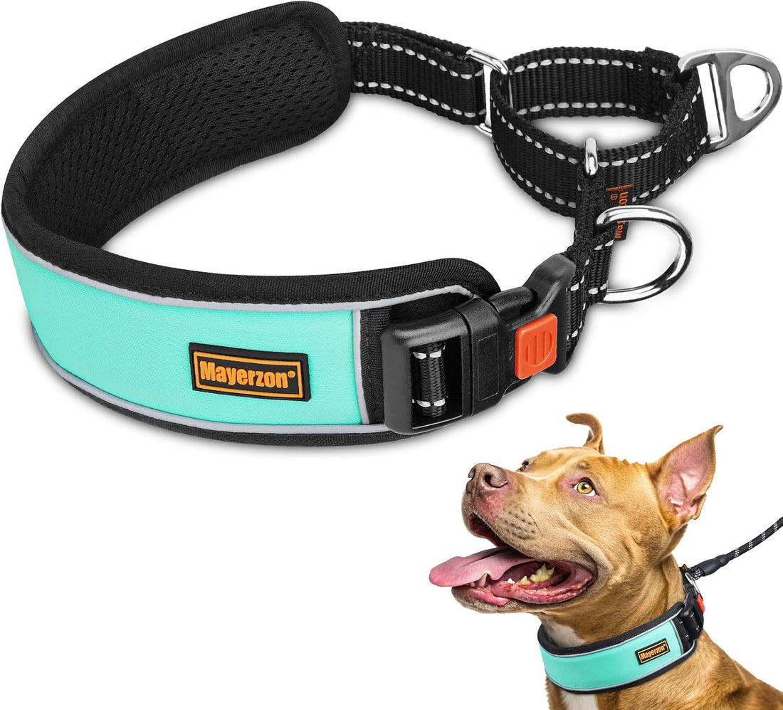 Mayerzon 2" Wide Martingale Collar for Large Dogs No Pull Dog Collar
