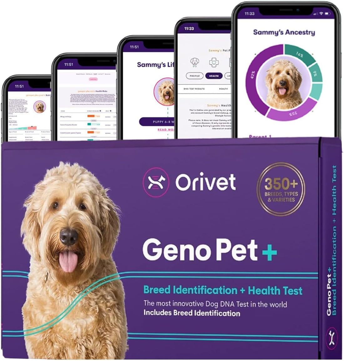 ORIVET GenoPet Dog DNA Test, 365+ Breeds, Health, Ancestry
