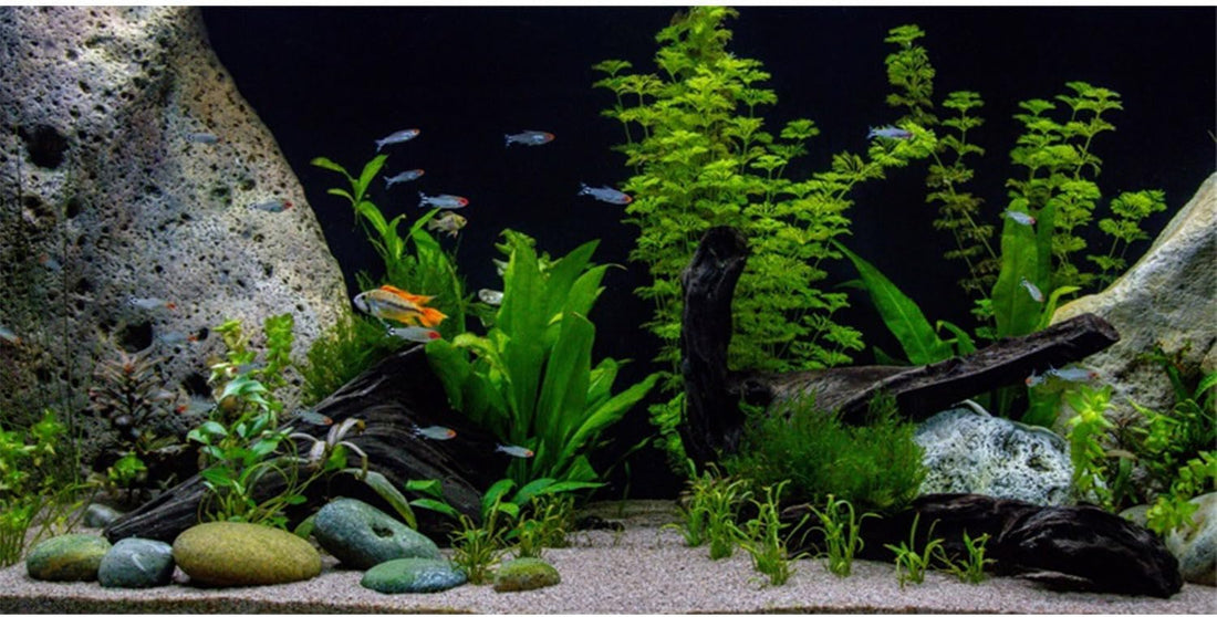 Underwater Aquatic Fish Tank Background Stone Aquarium Backdrop 72x24