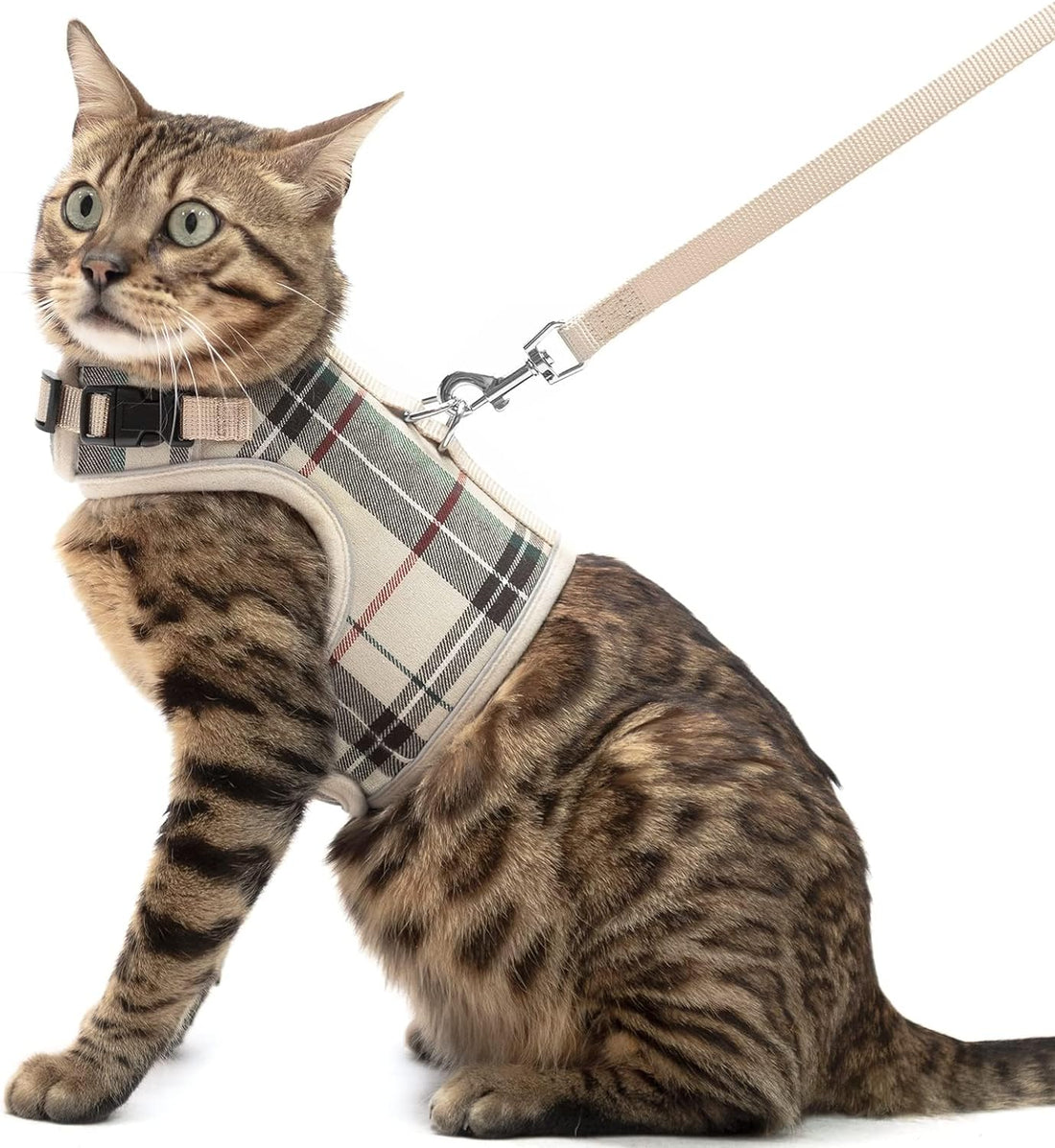 PUPTECK Soft Mesh Cat Vest Harness and Leash Set Puppy Padded Pet