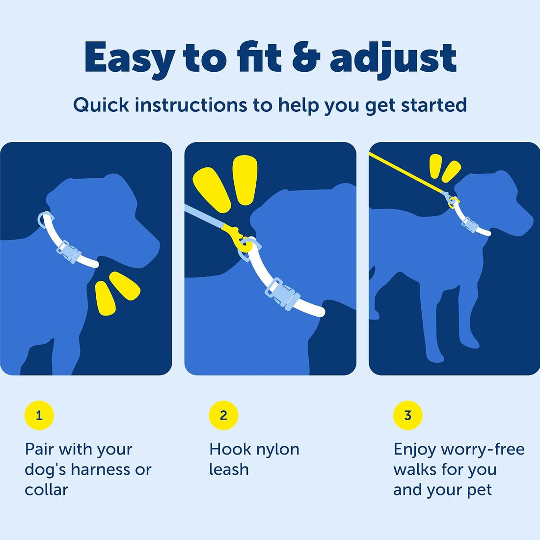 PetSafe Nylon Traditional Dog Leash with Bolt Snap