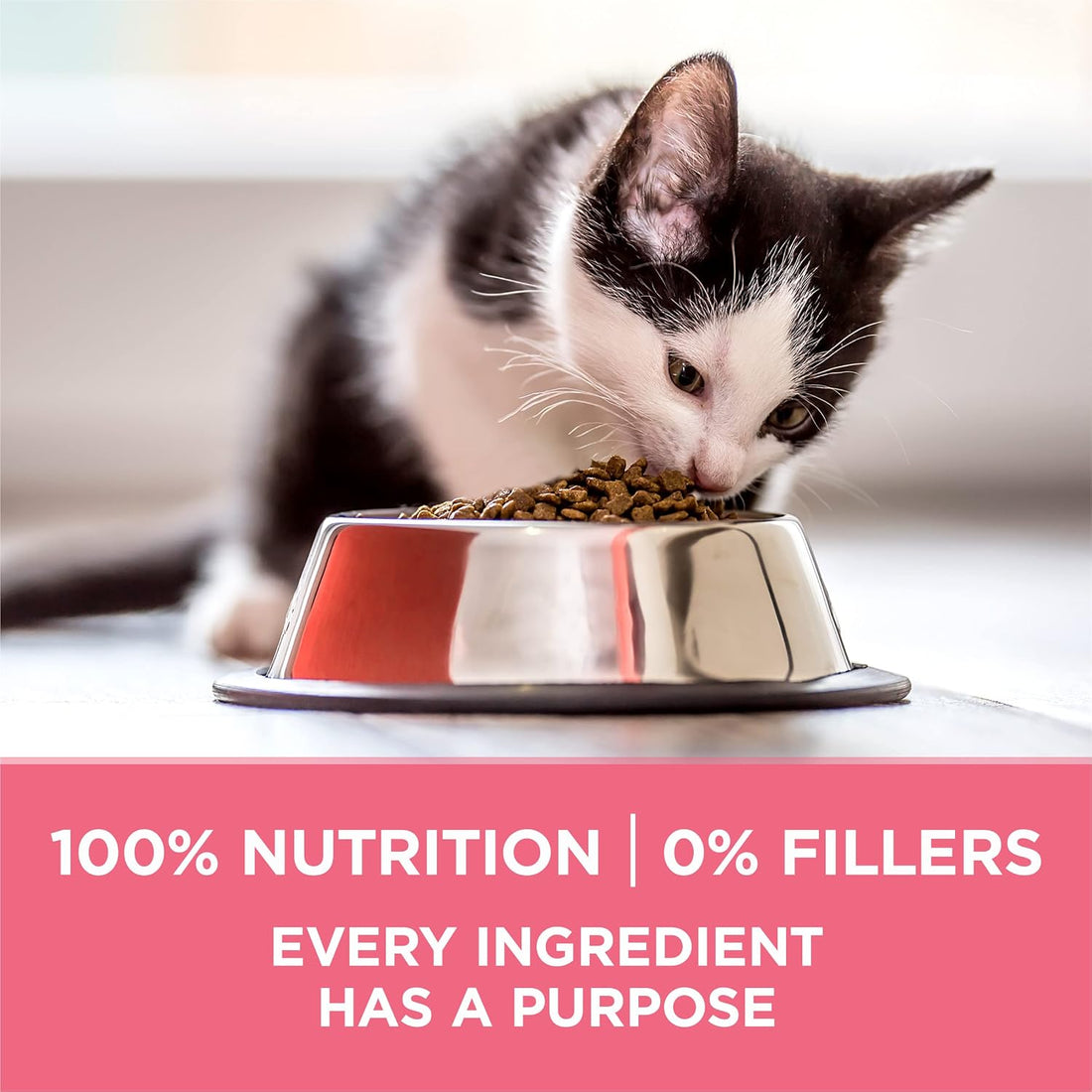 Purina ONE High Protein, Natural Dry Kitten Food